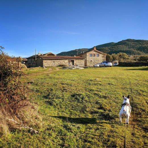 La Candileja Ávila Exterior foto